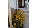 Inviting home entrance with a colorful display of yellow coneflowers creating a cheerful welcome at 245 Longshore Way, Fayetteville, GA 30215