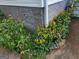 Landscaped exterior featuring vibrant yellow coneflowers and lush green foliage near the foundation at 245 Longshore Way, Fayetteville, GA 30215