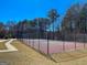 Enjoy a game on the community tennis court, surrounded by a picturesque landscape at 245 Longshore Way, Fayetteville, GA 30215