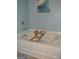Bright bathroom showcasing a soaking tub with a wooden caddy at 1879 Redfern Rd, Dacula, GA 30019