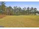 Large manicured backyard with surrounding trees and wooded area; a trampoline can be seen in the distance at 285 Hogan Coweta Rd, Hogansville, GA 30230