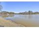 Picturesque view of the lake with lush trees around the banks and a clear sky reflecting on the calm water surface at 205 Castlewood Rd, Tyrone, GA 30290