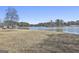 Scenic lake view with a serene body of water surrounded by trees and open sky, offering a tranquil setting at 205 Castlewood Rd, Tyrone, GA 30290