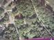 Aerial view showing the home nestled among the trees at 102 Pinegate Rd, Peachtree City, GA 30269