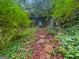 Stone and mulch backyard path leading to home's entrance surrounded by lush greenery at 102 Pinegate Rd, Peachtree City, GA 30269