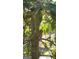 View of owl perched on tree branch through a window, bringing nature indoors at 102 Pinegate Rd, Peachtree City, GA 30269