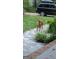 A young deer prances in the front yard of the property at 102 Pinegate Rd, Peachtree City, GA 30269