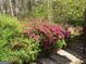 Yard with lush landscaping and stone steps, creating a serene and inviting outdoor space at 102 Pinegate Rd, Peachtree City, GA 30269