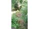 Deer and fawns roaming freely in the yard at 102 Pinegate Rd, Peachtree City, GA 30269