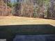 Large backyard surrounded by a border of mature trees at 276 Arborview Dr, Mcdonough, GA 30252