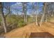Backyard view showing foliage and sky at 603 Honey Creek Rd, Mcdonough, GA 30252