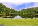 Scenic view of a serene pond surrounded by lush greenery at 88 Harbour Lake Dr, Fayetteville, GA 30215