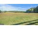 Expansive green field with a grazing horse and tree line in the background at 4226 Highway 155 N, Stockbridge, GA 30281