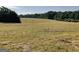 A large, open field ready for development, surrounded by mature trees and clear sky at 271 Trestle Rd, Locust Grove, GA 30248