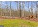 Horse grazing in fenced pasture bordered by bare trees and green grass at 630 Stoney Point Rd, Bowdon, GA 30108
