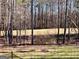 A scenic backyard featuring a classic black fence, bordered by tall trees creating a private outdoor space at 175 Monarch Dr, Peachtree City, GA 30269