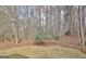 Secluded backyard with a lush green lawn, mature trees, and natural wooded views at 40 High St, Sharpsburg, GA 30277