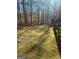 Backyard featuring lawn space at 245 Ashley Forest Dr, Fayetteville, GA 30214