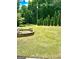 Landscaped front yard featuring a fountain and row of evergreen trees at 2555 Rockbridge Nw Rd, Conyers, GA 30012