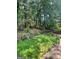 This backyard shows overgrown greenery and fencing, suggesting a property needing landscape improvements at 3210 Rogers Rd, Mcdonough, GA 30252