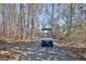 A golf cart drives along a paved road lined with tall trees at 123 Fielding Rdg, Peachtree City, GA 30269