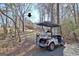 A golf cart drives down a tree-lined path at 123 Fielding Rdg, Peachtree City, GA 30269