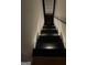 Dark staircase with bright, modern lighting at 3223 Thornecreek Dr, Douglasville, GA 30135