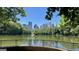 Scenic view of a lake and skyline framed by trees in summer, offering a tranquil and picturesque scene at 870 Monroe Ne Dr, Atlanta, GA 30308