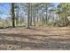 Expansive backyard featuring mature trees, open lawn, and trampoline at 6187 Radford Dr, Riverdale, GA 30296