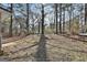 Expansive backyard featuring mature trees and lawn at 6187 Radford Dr, Riverdale, GA 30296