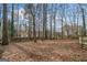 Large, wooded backyard with plenty of space for outdoor activities at 5119 Hill Farm Ne Dr, Woodstock, GA 30188