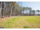Large green backyard with a treeline in the distance at 337 Paynes Lake Rd, Carrollton, GA 30116