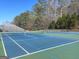 Community tennis courts featuring the green and blue painted surfaces and nets surrounded by bare trees at 104 Summer Chase, Carrollton, GA 30116