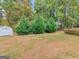 Spacious backyard features three evergreen trees, a shed, and a well-maintained lawn at 220 Melrose Way, Mcdonough, GA 30252