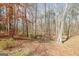 A wooded lot with mature trees and fallen leaves, offering a natural and serene setting at 106 Robinson Bend Trl, Peachtree City, GA 30269