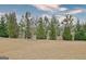 Expansive backyard featuring a well-maintained lawn, mature trees and landscaping at 339 Cottonwood Cir, Peachtree City, GA 30269