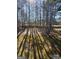 Backyard featuring a large, tree-lined yard and wooden fence at 5725 Lake Windsor Pkwy, Buford, GA 30518