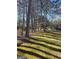 Large backyard with mature trees, providing shade and a natural setting at 5725 Lake Windsor Pkwy, Buford, GA 30518