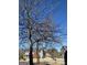 Neighborhood street view with various two-story homes amongst bare trees, depicting suburban living at 5725 Lake Windsor Pkwy, Buford, GA 30518
