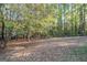Spacious backyard with mature trees, providing privacy and natural beauty at 250 Devilla Trce, Fayetteville, GA 30214