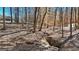 A serene creek running through the wooded property with an adjacent home at 3630 Jim Moore Rd, Dacula, GA 30019