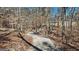 Winding driveway through a mature wooded homesite at 3630 Jim Moore Rd, Dacula, GA 30019