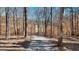 Long winding driveway through a wooded lot leading to the property at 3630 Jim Moore Rd, Dacula, GA 30019