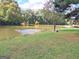 Picturesque lake view with geese, trees, and a tranquil waterfront, enhancing the property's natural beauty at 245 Highview Trce, Fayetteville, GA 30215