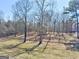Expansive backyard with mature trees and a small creek at 1029 Hines Rd, Moreland, GA 30259
