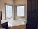 Bright bathroom featuring a corner bathtub, custom cabinetry, and natural lighting at 232 Darwish Dr, Mcdonough, GA 30252