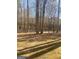 Scenic view of the wooded backyard, offering privacy and a natural setting at 460 Ridgewood Dr, Fayetteville, GA 30215