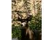 Stunning image of a majestic buck standing amidst dense foliage, capturing the essence of wildlife at 1225 Pitts Chapel E, Newborn, GA 30056