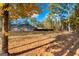Backyard with mature trees and a view of the side of the home and shed at 460 Carrie Kathleen Ter, Carrollton, GA 30116