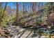 Tranquil creek surrounded by tall trees and natural foliage at 4421 Paradise Cir, Vinings, GA 30339
